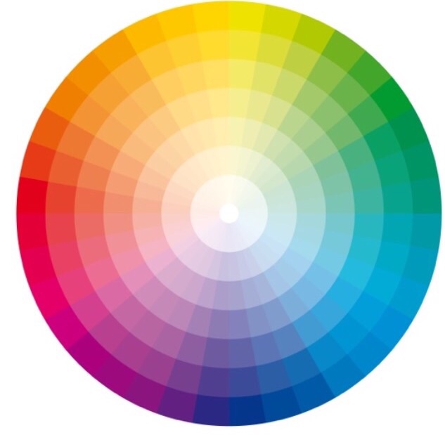 A colour wheel | The Home Stylist