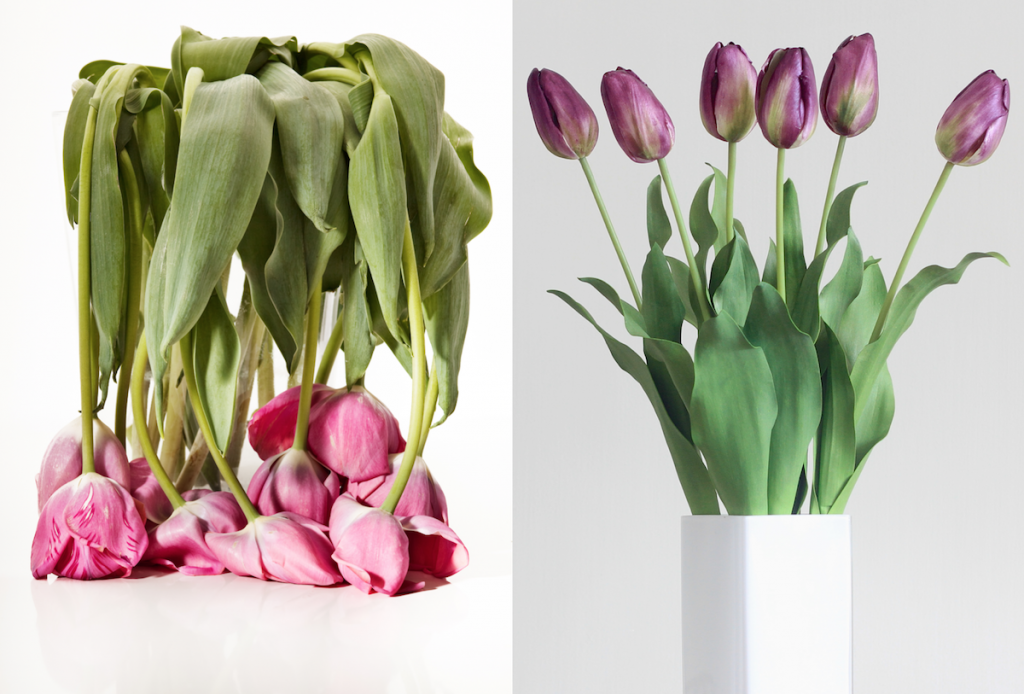 Faux flowers Vs Real flowers | Styled by The Home Stylist