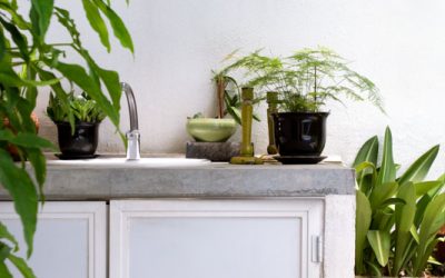 Styling Plants for a Green Garden