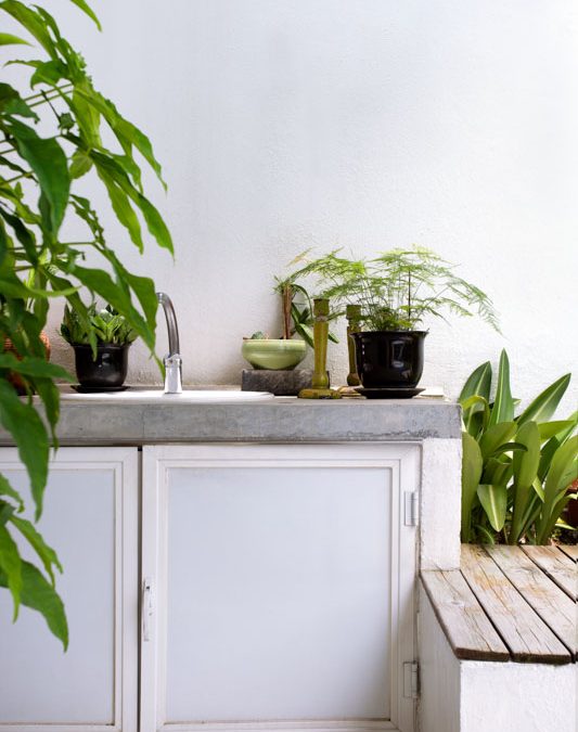 Styling Plants for a Green Garden